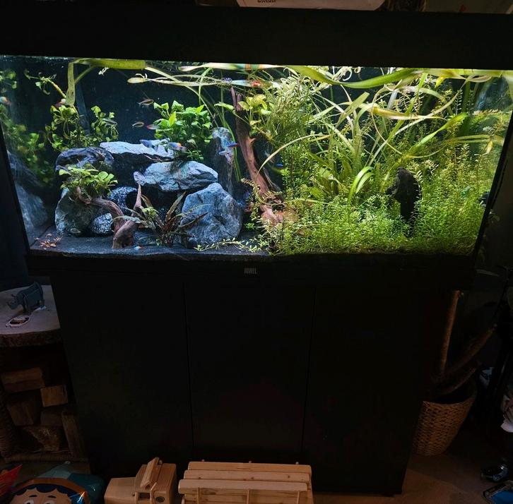Complete Juwel Rio 180 incl Helialux verlichting&CO2, Dieren en Toebehoren, Vissen | Aquaria en Toebehoren, Zo goed als nieuw