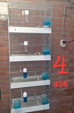 Kanarie vogelkooien, Dieren en Toebehoren, Meerdere dieren