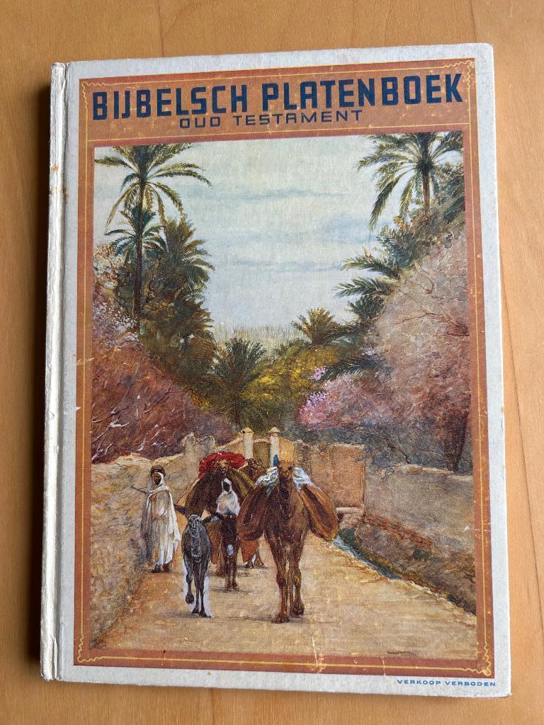 Bijbelsch platenboek, Ophalen of Verzenden, Gelezen