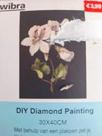 Nieuw! Diamond Painting DIY 30x40cm, Ophalen of Verzenden, Nieuw, Knutselwerk