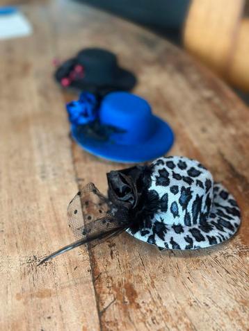Mini Hoedjes Set - Feestelijk & Uniek beschikbaar voor biedingen
