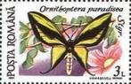 1991 Roemenië Fauna Insecten Vlinders en Motten, Ophalen of Verzenden, Postfris, Dier of Natuur