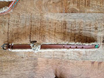 Dwam teddy halsbandje 2x en lijn nieuw!  beschikbaar voor biedingen