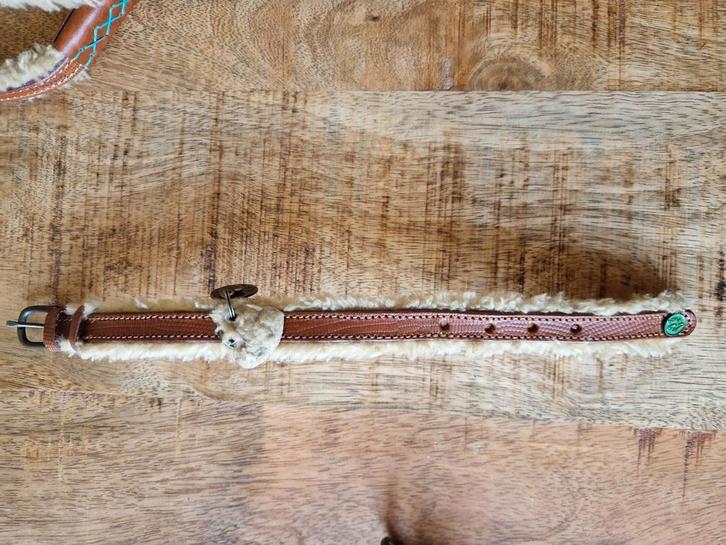 Dwam teddy halsbandje 2x en lijn nieuw!, Dieren en Toebehoren, Hondenhalsbanden en Penningen, Nieuw, Handgemaakt, Ophalen of Verzenden