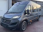 Carado (Hymer) CVE 640- 11-2021- Lengte bedden- 9T Automaat, Buscamper of Camperbus, Bedrijf, Overige merken, Carado