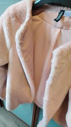 Nieuw jasje H&M, Kleding | Dames, H&M, Nieuw, Ophalen of Verzenden, Jasje