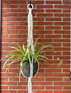 Macramé plantenhanger hand gemaakt  NIEUW, Ophalen of Verzenden, Nieuw