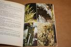 Boek. Mooie stenen. 120 Mineralen in kleur., Verzamelen, Mineralen en Fossielen, Ophalen of Verzenden, Fossiel