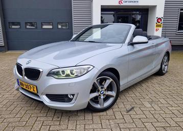 BMW 2-serie Cabrio 228i Luxury Leder | Led | Navi | Stoelvw. beschikbaar voor biedingen