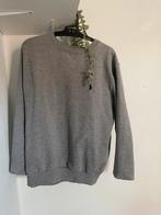Ralph lauren trui, Kleding | Heren, Truien en Vesten, Ralph Lauren, Overige maten, Ophalen of Verzenden, Zo goed als nieuw