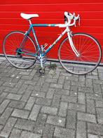 Mooie blauwe Batavus racefiets framemaat 53, Ophalen, 28 inch, Staal, Batavus
