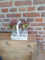 vaasjes in rek, Huis en Inrichting, Woonaccessoires | Vazen, Ophalen, Gebruikt, Wit, Glas