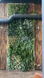 Groene Kunstplantenwand - 370x146cm - Eyecatcher!, Vaste plant, Bloeit niet, Volledige schaduw, Ophalen