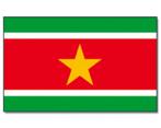 Surinaamse vlag 90x150cm kopen, Nieuw, Ophalen of Verzenden
