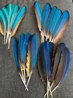 Ara veren set, Ophalen of Verzenden, Gebruikt, Materiaal