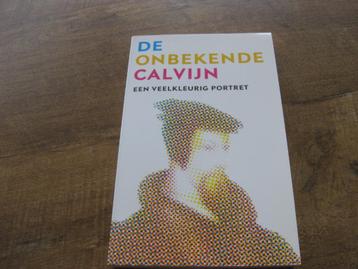 De Onbekende Calvijn een veelkleurig portret / E.A, de Boer  beschikbaar voor biedingen