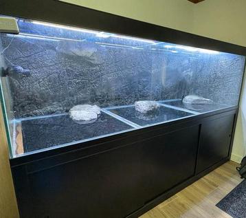 Groot exclusief aquarium 280 cm beschikbaar voor biedingen