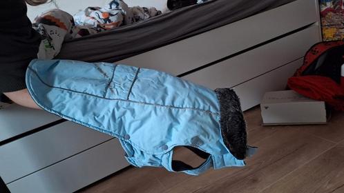 Ijsblauwe Boony honden winterjas maat 45, Dieren en Toebehoren, Hondenkleding, Zo goed als nieuw, Hondenjas, Ophalen of Verzenden