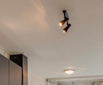 Deckenleuchten mit Lampen beschikbaar voor biedingen