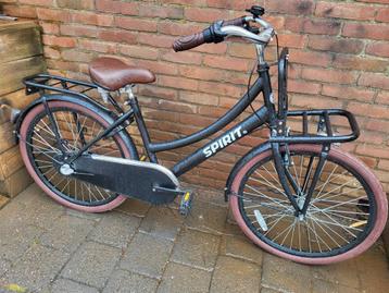 Fraaie 24inch Spirit Cargo meidentransporter Nex3 etc 8-11j beschikbaar voor biedingen