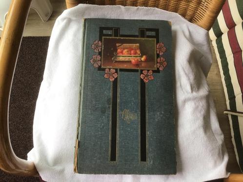 Anzichtkaarten Album .Art —Deco -/Stijl., Verzamelen, Ansichtkaarten | Nederland, Gelopen, Zuid-Holland, Voor 1920, Ophalen of Verzenden