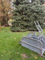 Te koop schapen bekapbox, Dieren en Toebehoren, Vrouwelijk, Schaap