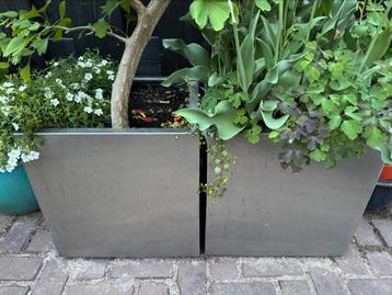 Roestvrijstalen tuinpotten vierkant 2 maal 45/45/45 beschikbaar voor biedingen