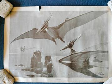 Dinosaurus tekeningen Brits Natuurhistorisch museum uit 1975 beschikbaar voor biedingen