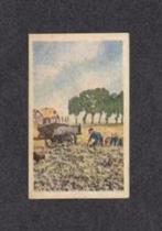 Albumplaatje Aardappelrooien Wipkar Boerderij Zuid-Groningen, Ophalen of Verzenden, Zo goed als nieuw