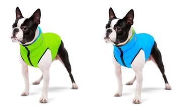 AiryVest Versatile Hondenjas Omkeerbaar XS30 Lime-Blue -50%! beschikbaar voor biedingen