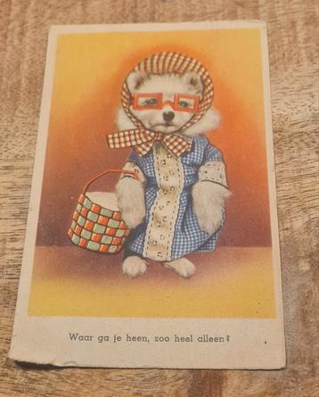 Aangekleed beertje met mandje en bril  beschikbaar voor biedingen