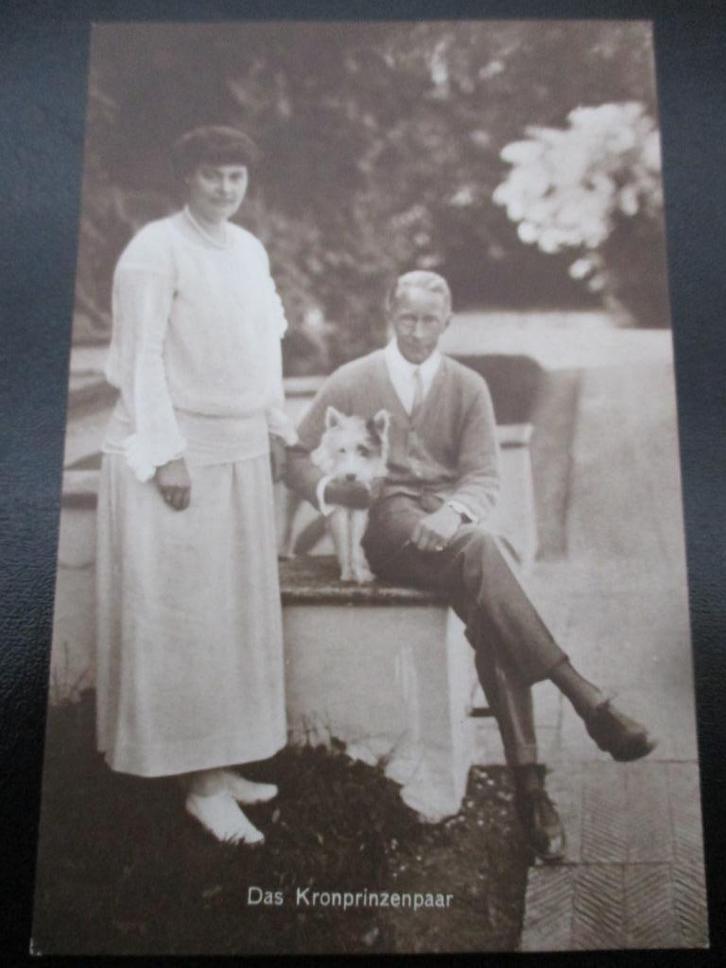 Postkaart Kronprinz Wilhelm #8, Verzamelen, Ansichtkaarten | Themakaarten, Voor 1920, Politiek en Historie, Verzenden