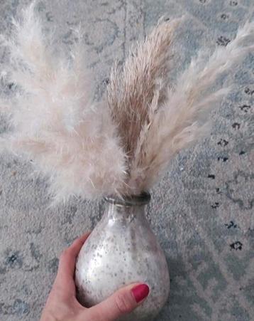 Pampas gras / pluimen in zilverkleurig vaasje 35 cm beschikbaar voor biedingen