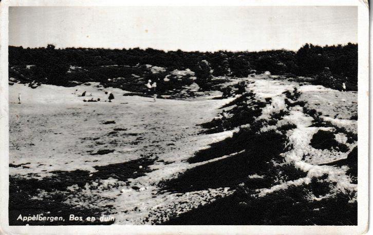 APPELBERGEN - BOS en DUIN, Verzamelen, Ansichtkaarten | Themakaarten, Gelopen, Natuur, Ophalen of Verzenden