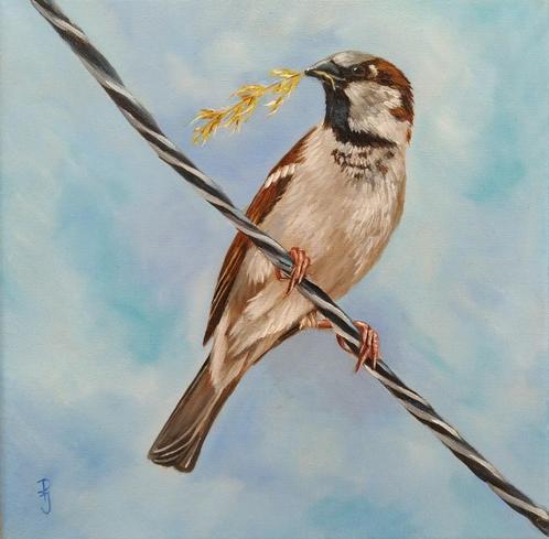 schilderij mus 160 - eigen atelier - origineel cadeau vogel, Antiek en Kunst, Kunst | Schilderijen | Modern, Ophalen of Verzenden