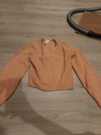 Oranje trui H&M - Maat S, H&M, Oranje, Ophalen of Verzenden, Zo goed als nieuw