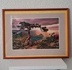 Twee kunstfoto’s in lijst – zee & rotskust & pijnboom, Ophalen of Verzenden