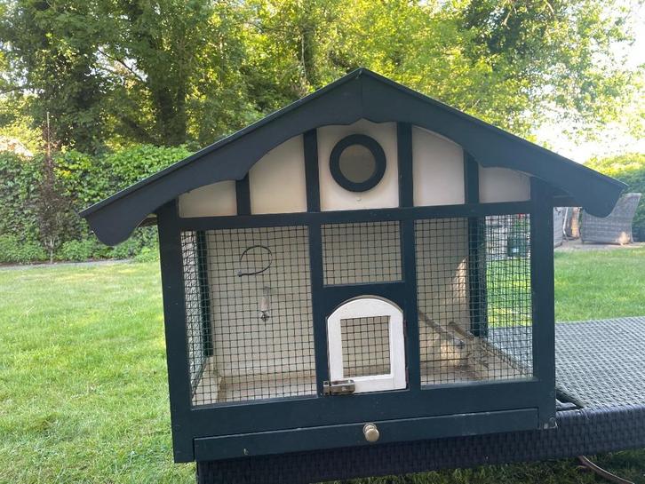 Duivenkooi / vogelkooi wandmodel (hardhout), Dieren en Toebehoren, Vogels | Hokken en Kooien, Gebruikt, Vogelkooi, Hout, Ophalen