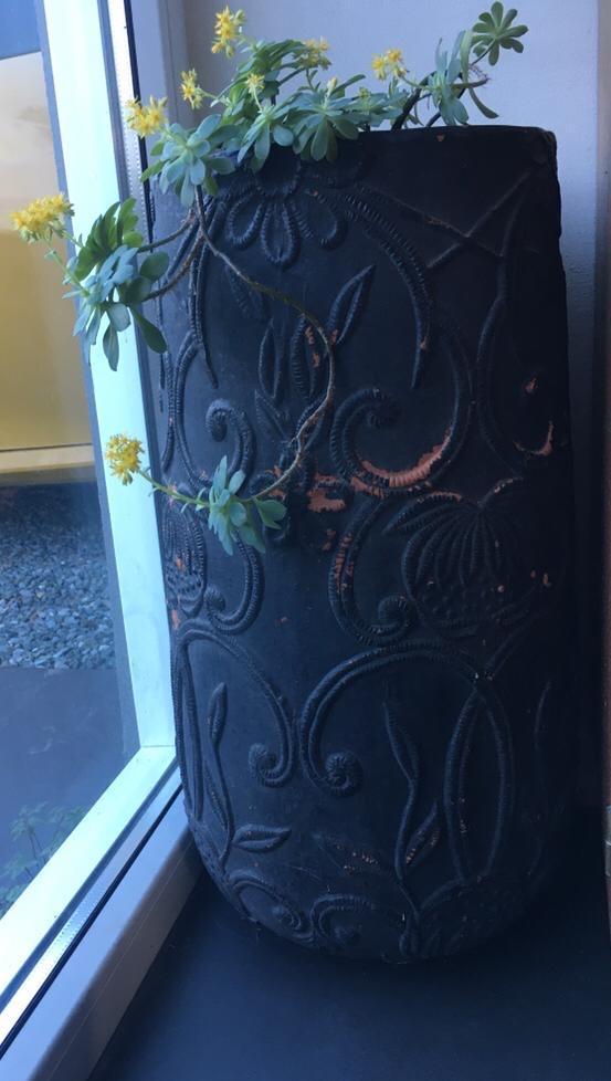 Vintage terracotta bliempot vaas met biologische kamerplant, Tuin en Terras, Bloempotten, Gebruikt, Terracotta, Binnen, 70 cm of meer