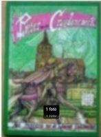 Pieter van den Cruydencoeck door Eric van der Heijden., Boeken, Eén stripboek, Ophalen of Verzenden, Gelezen