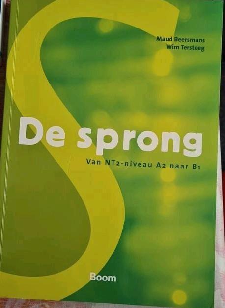 Maud Beersmans - De sprong, Boeken, Schoolboeken, Zo goed als nieuw, Nederlands, Overige niveaus, Ophalen of Verzenden