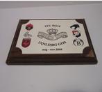 Wapenschildje Task Force Uruzgan Battle Group 10 Prinses Ire, Verzenden, Landmacht, Nederland, Overige typen