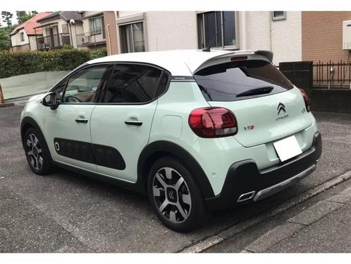 Citroen C3 Phase 3 – Dakspoiler, Auto diversen, Tuning en Styling, Ophalen of Verzenden