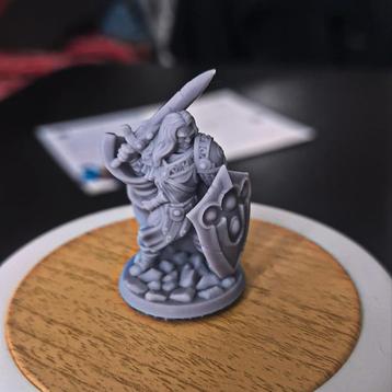 Dungeons & Dragons, D&D, HeroQuest, miniature paladin beschikbaar voor biedingen