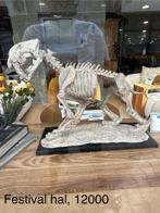 Sabeltandtijger Skelet Model, Verzenden