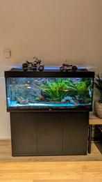 Juwel 240L 120x40x50 alles inclusief, Dieren en Toebehoren, Ophalen, Zo goed als nieuw, Gevuld zoetwateraquarium