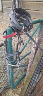 mini pony's tuig, Dieren en Toebehoren, Ophalen, Gebruikt, Overige soorten