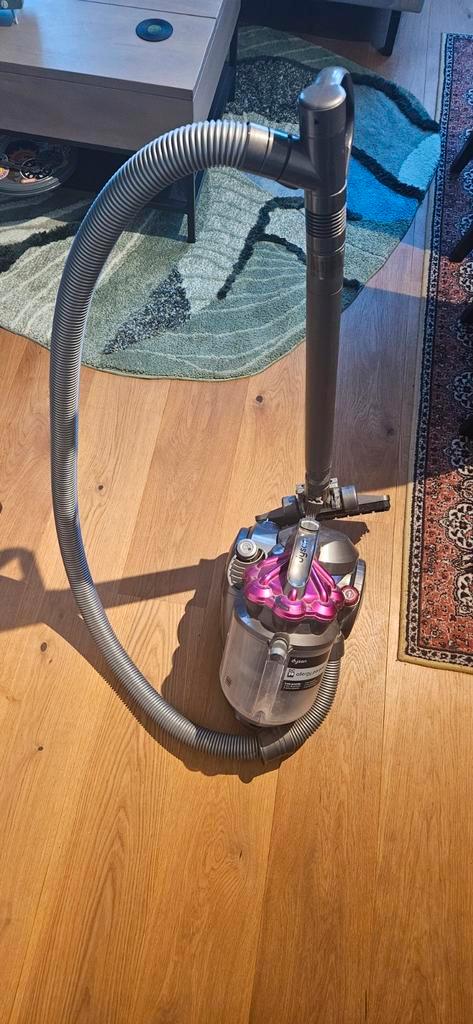 Dyson DC29 Allergy Parquet Stofzuiger, Witgoed en Apparatuur, Stofzuigers, Gebruikt, Stofzuiger, 1600 tot 2000 watt, Reservoir