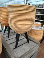 Rieten manden partij, Tuin en Terras, Bloembakken en Plantenbakken, Ophalen, Nieuw, Rond, Minder dan 30 cm