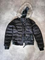 Superdry winterjas mt 40, Superdry, Maat 38/40 (M), Ophalen of Verzenden, Zo goed als nieuw